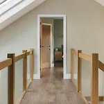 Lily Bank - Ridgestone *