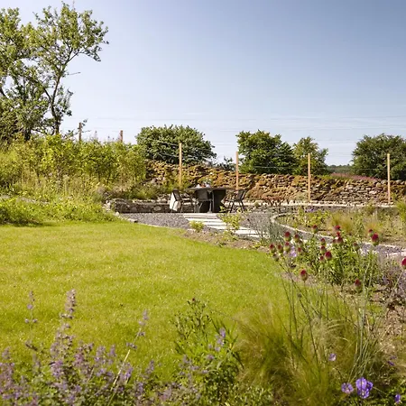 Lily Bank - Ridgestone